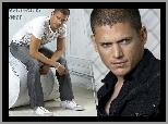 Wentworth Miller, Aktor